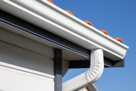 gutters, fascia, and soffit